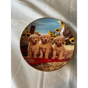 Good as gold Plate